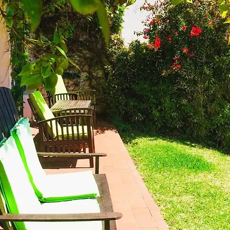 Holiday Flat - Fnc02020-p Apartment Canico (Madeira)